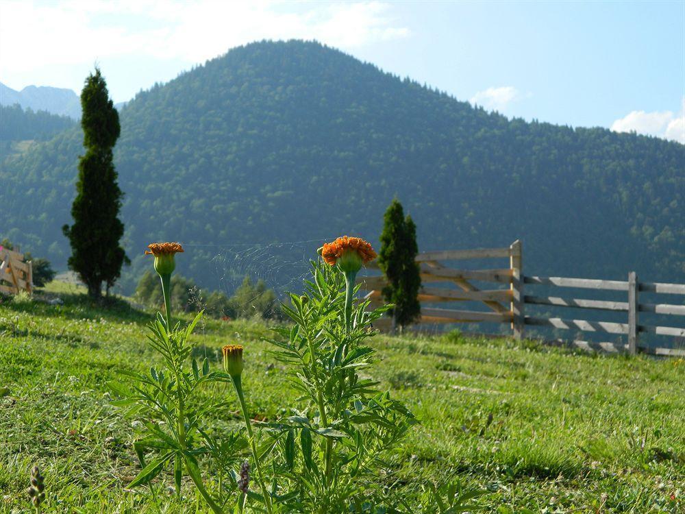 Nobillis - Carpathian Residence Pestera  Exterior photo